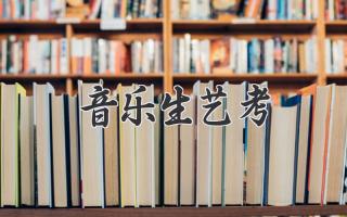 音乐生艺考