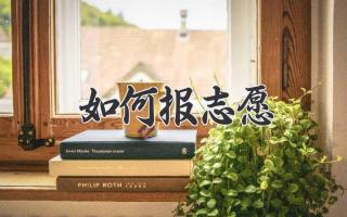 如何报志愿