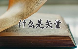 什么是矢量