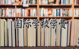 国际学校学费