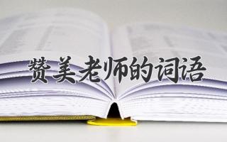 赞美老师的词语