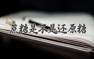 蔗糖是不是还原糖