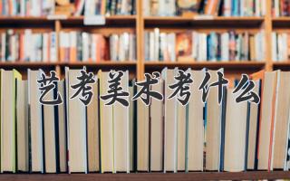 艺考美术考什么