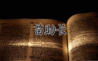 苗助长