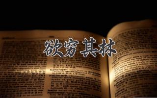 欲穷其林