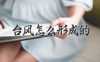 台风怎么形成的