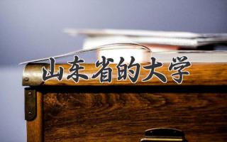 山东省的大学