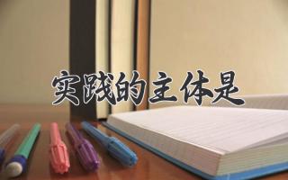 实践的主体是