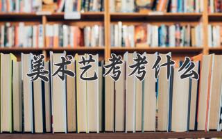 美术艺考考什么