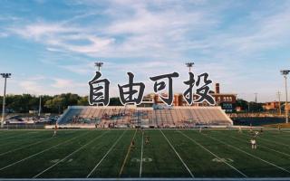 自由可投