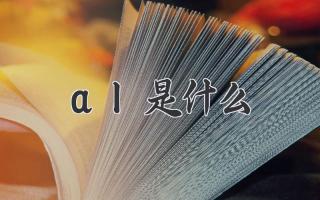 al是什么