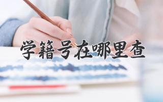 学籍号在哪里查