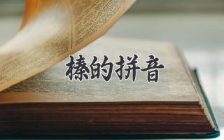 榛的拼音