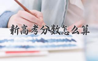 新高考分数怎么算