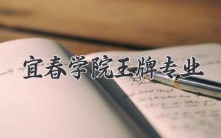 宜春学院王牌专业