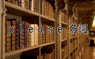 please名词