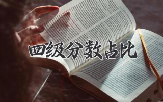 四级分数占比