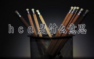 hca是什么意思