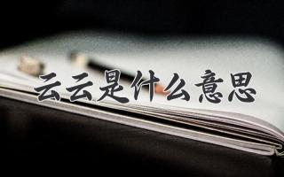 云云是什么意思