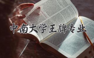 中南大学王牌专业
