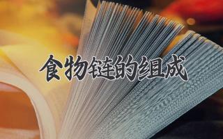 食物链的组成