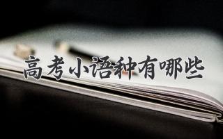 高考小语种有哪些