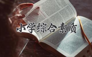 小学综合素质