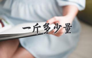 一斤多少量