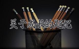 关于成长的题记