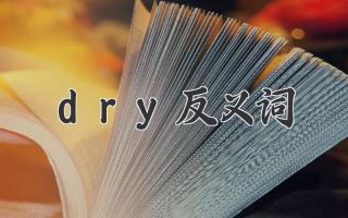 dry反义词