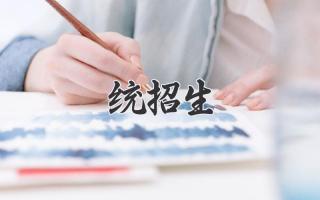 统招生