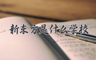 新东方是什么学校