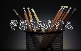 学籍号码是什么