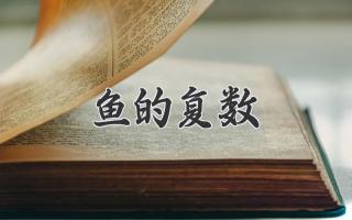 鱼的复数