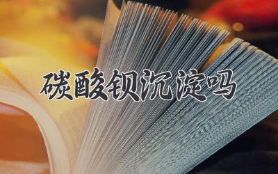碳酸钡沉淀吗