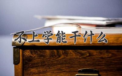 不上学能干什么
