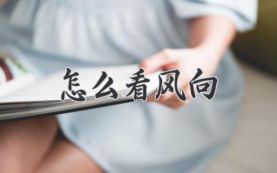 怎么看风向