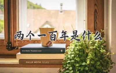 两个一百年是什么