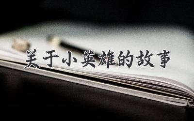 关于小英雄的故事