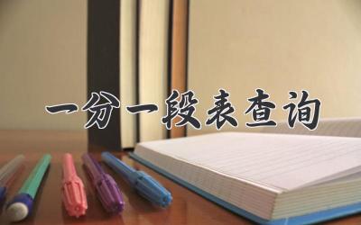 一分一段表查询