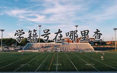 学籍号在哪里查
