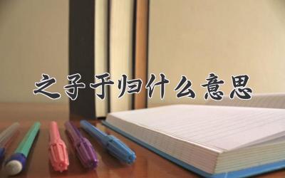 之子于归什么意思