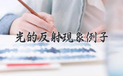 光的反射现象例子