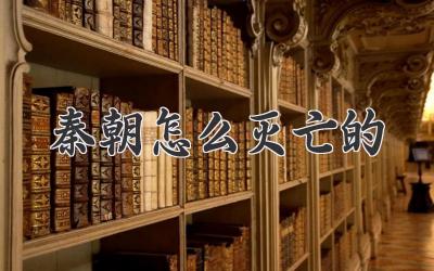 秦朝怎么灭亡的