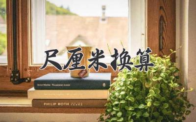 尺厘米换算