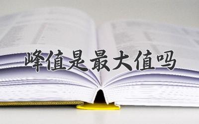 峰值是最大值吗