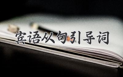 宾语从句引导词