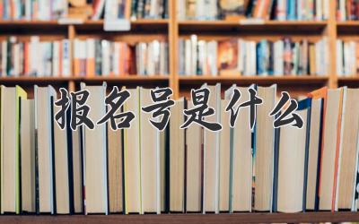 报名号是什么