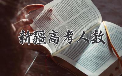 新疆高考人数