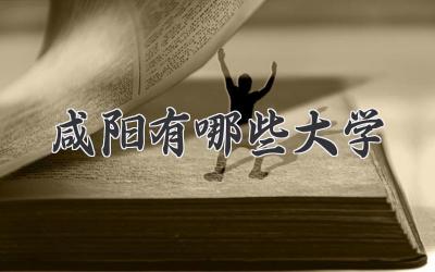 咸阳有哪些大学